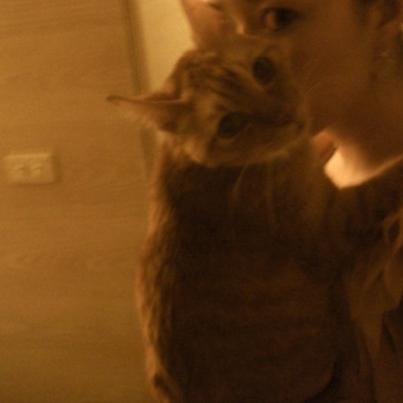 Meet your Posher, H - Picture 2 of 16